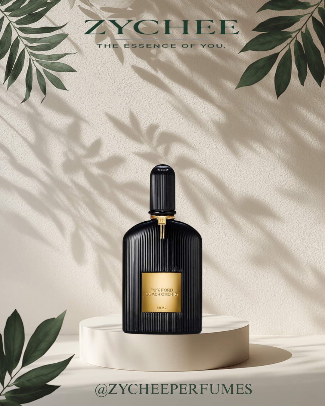 Black Orchid