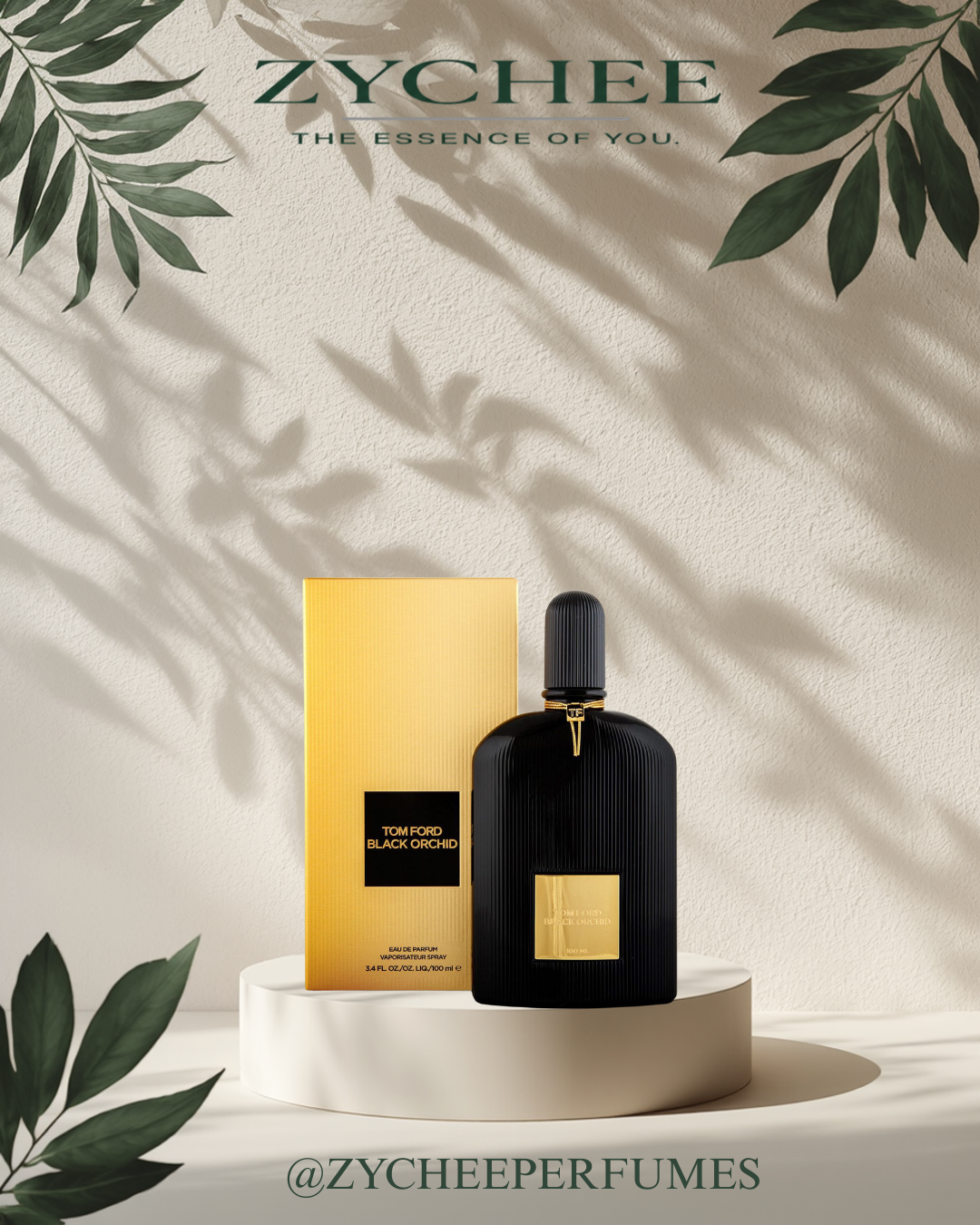 Black Orchid